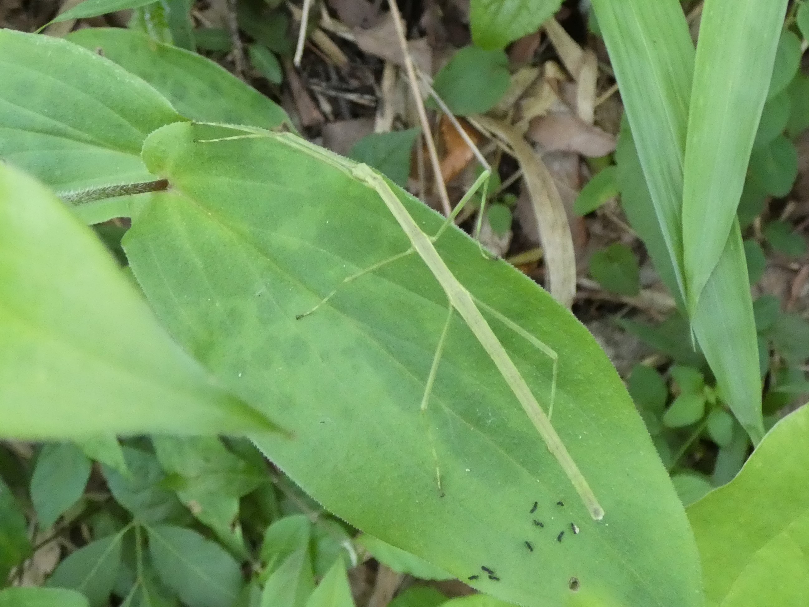 photo_2